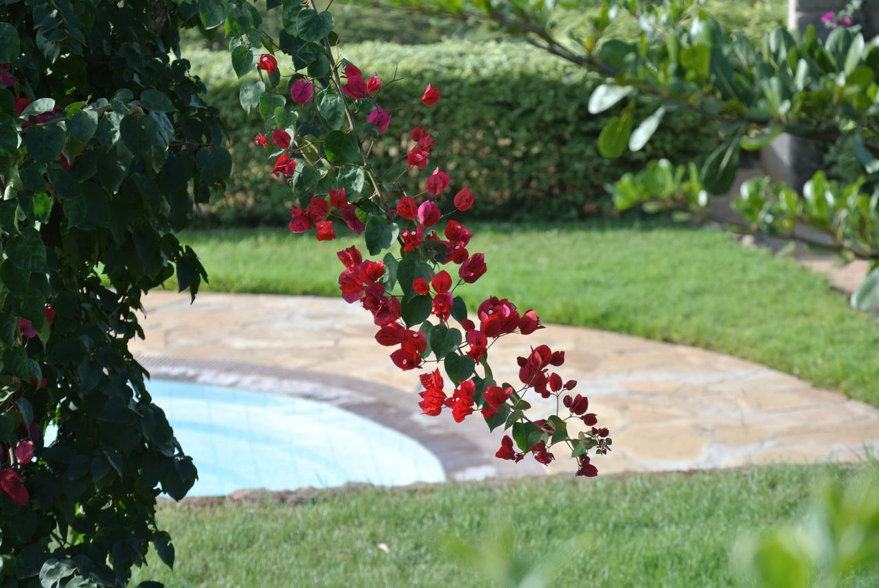 Nyati Hill Cottages Nairobi Exterior foto